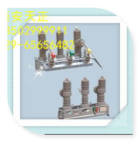 蘭州ZW32-12/630戶外高壓真空斷路器