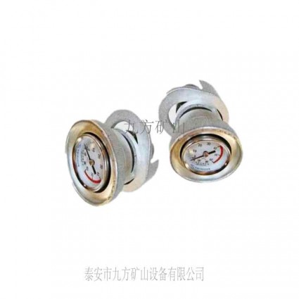 仁懷市DZ-60單體支柱測(cè)壓儀