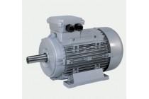 意大利NERI MOTORI電機